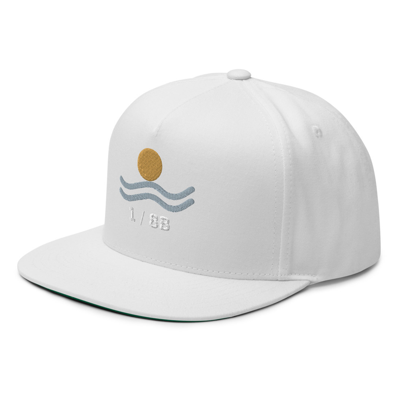 Origin Mark Flat Bill Cap