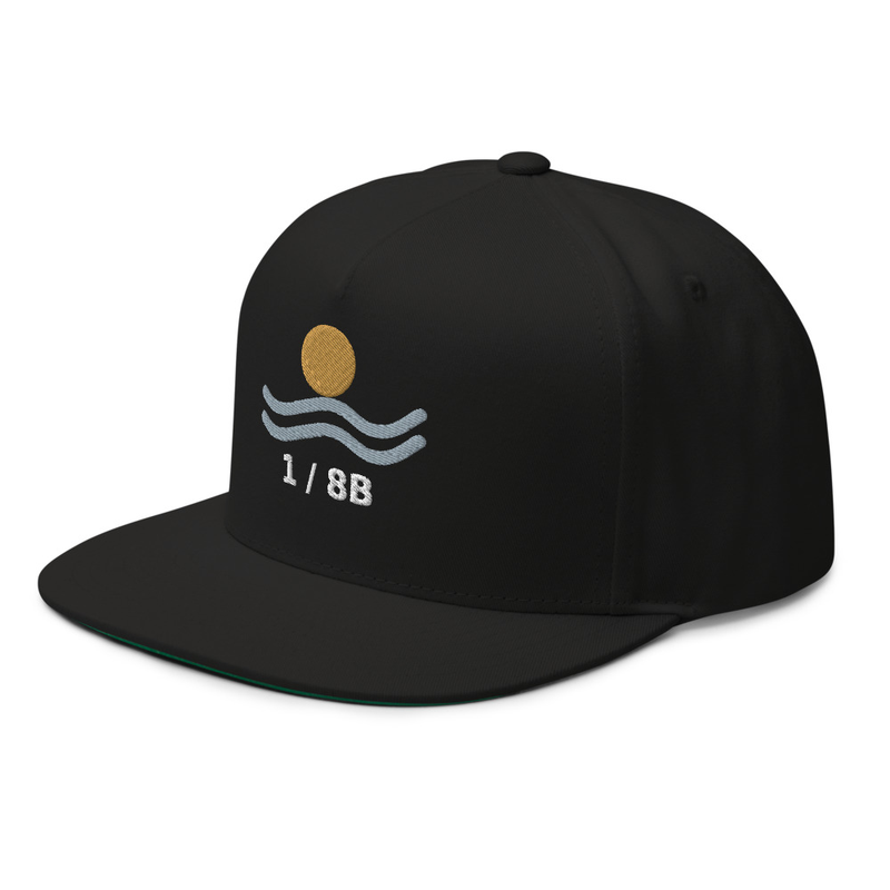 Origin Mark Flat Bill Cap