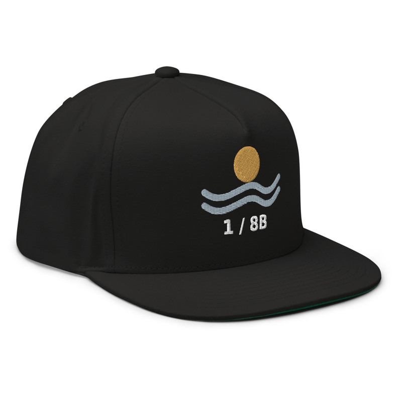 Origin Mark Flat Bill Cap
