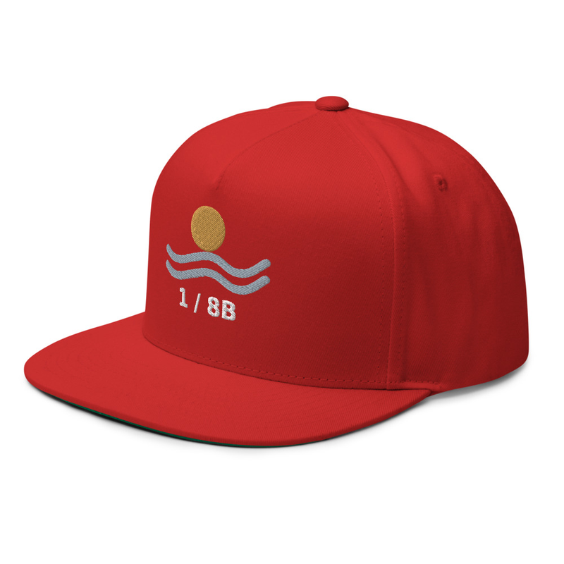 Origin Mark Flat Bill Cap
